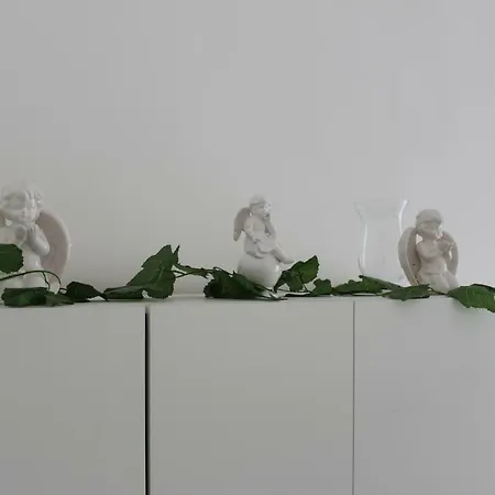 Musa 카타니아